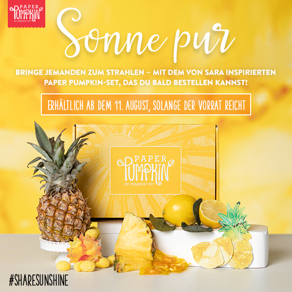 neues Paper Pumpkin Set Sonne Pur